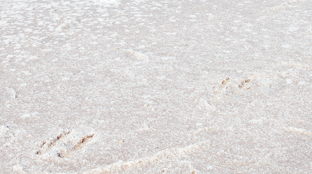 Footprints in the salt